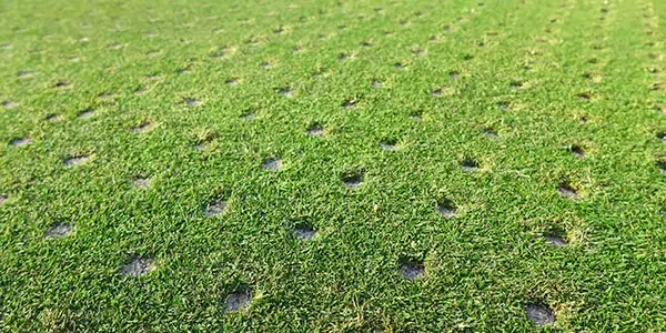 A well aerated lawn provided by Alpha Lawn Care