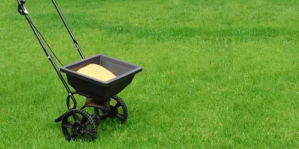 Proper Fertilization spreading done by Alpha Lawn Care